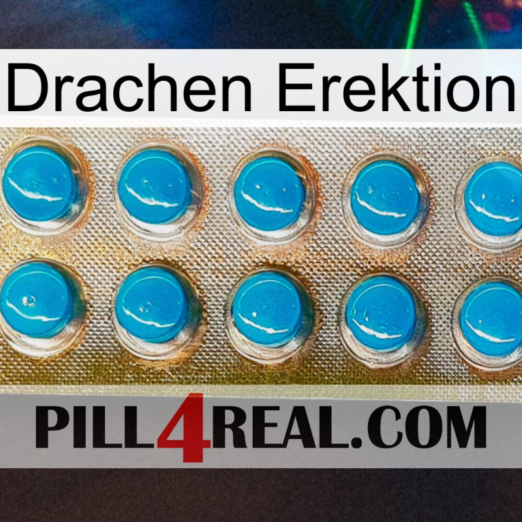 Dragon Erection new09